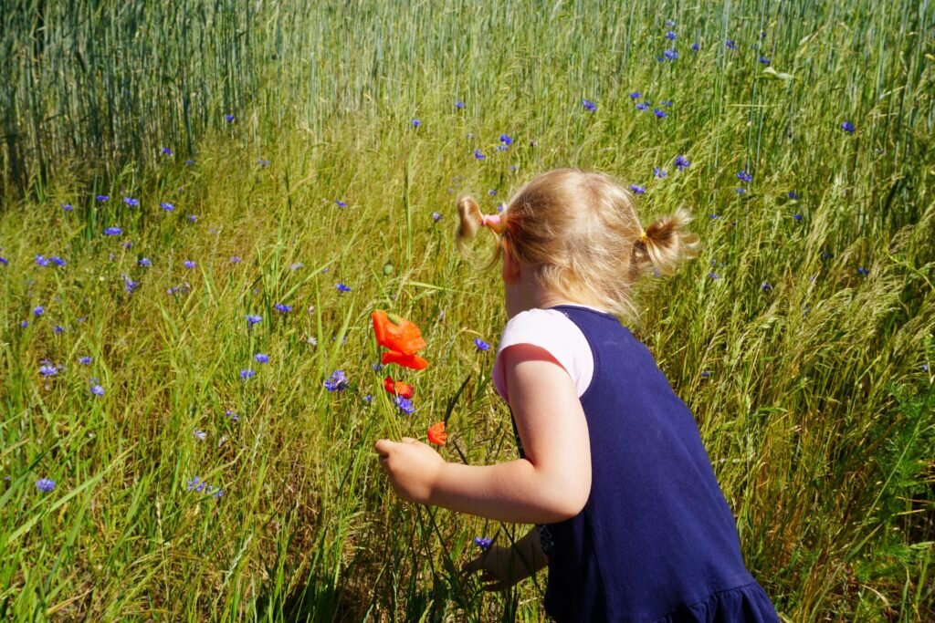 zdjęcie dziewczynka zbiera kwiaty wychowanie dziewczynek