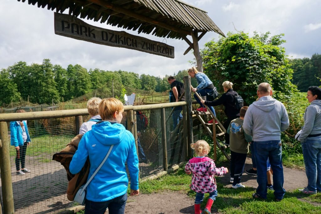 barierki Mazury z dziećmi - park dzikich zwierząt w Kadzidłowie Matka w kratkę